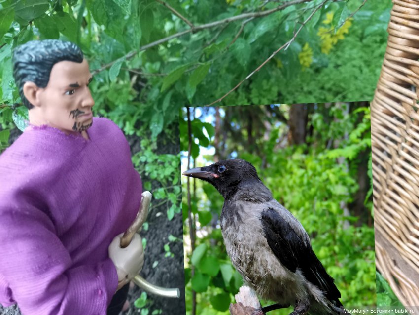 "Золотая вершина". 5 серия