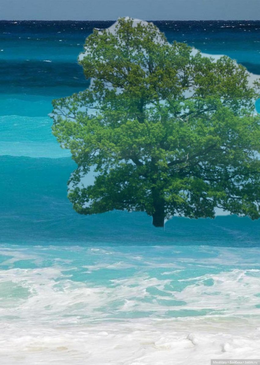 "Золотая вершина". 6 серия (фото 7)