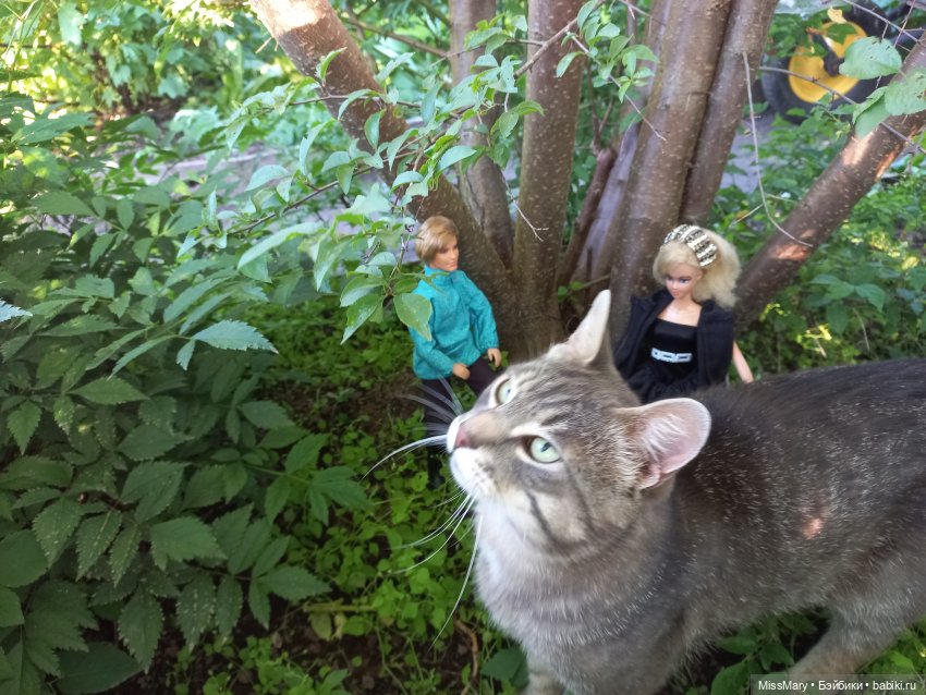 "Золотая вершина". 8 серия