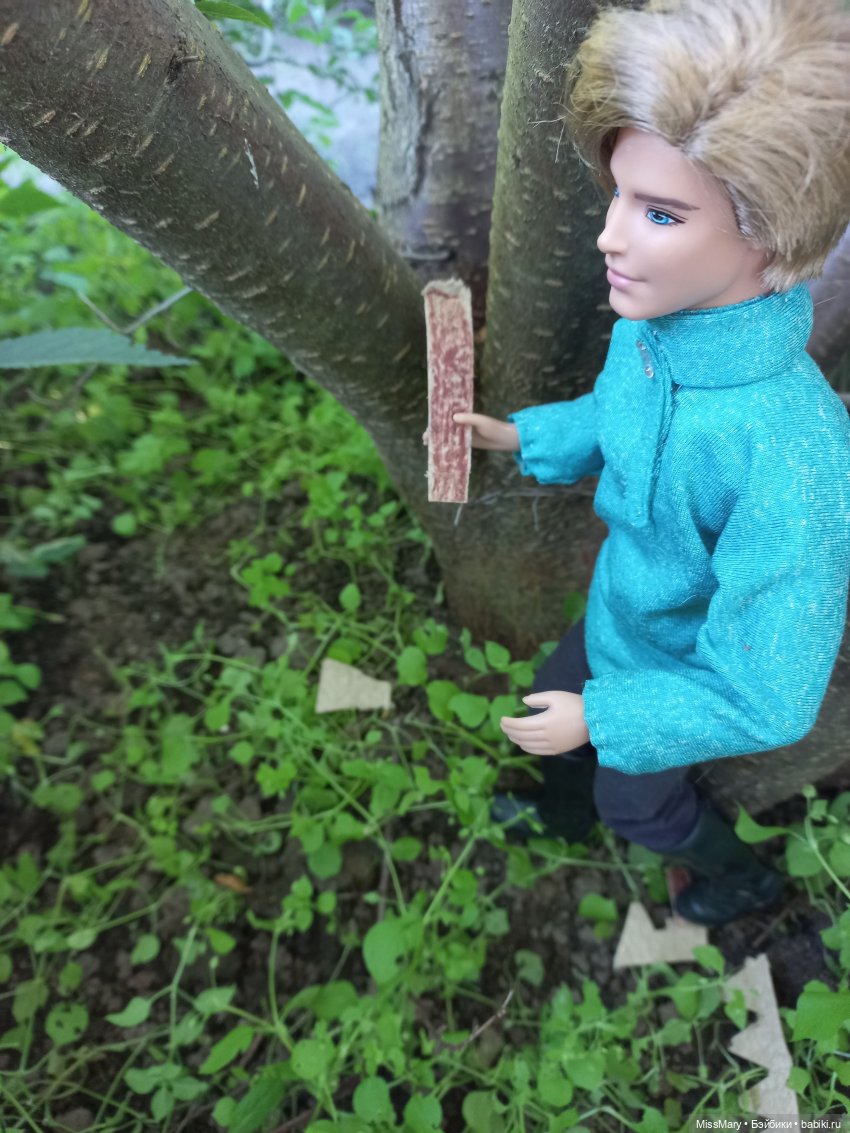 "Золотая вершина". 8 серия