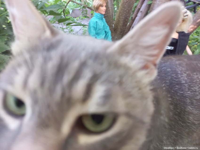 "Золотая вершина". 8 серия