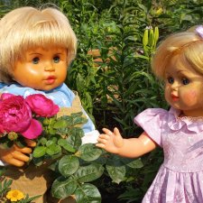 "Подарю тебе я розу"