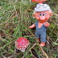 Весёлые картинки. В лес по грибы