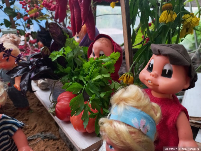 Ярмарка "Праздник урожая" в деревне Васильки (фото 10)