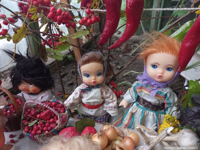 Ярмарка "Праздник урожая" в деревне Васильки