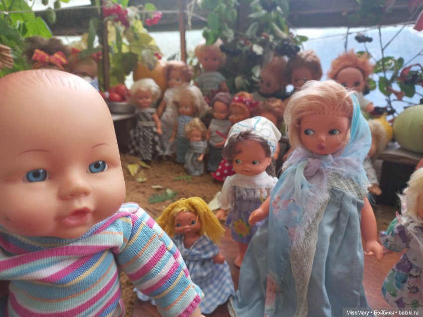 Ярмарка "Праздник урожая" в деревне Васильки (фото 2)