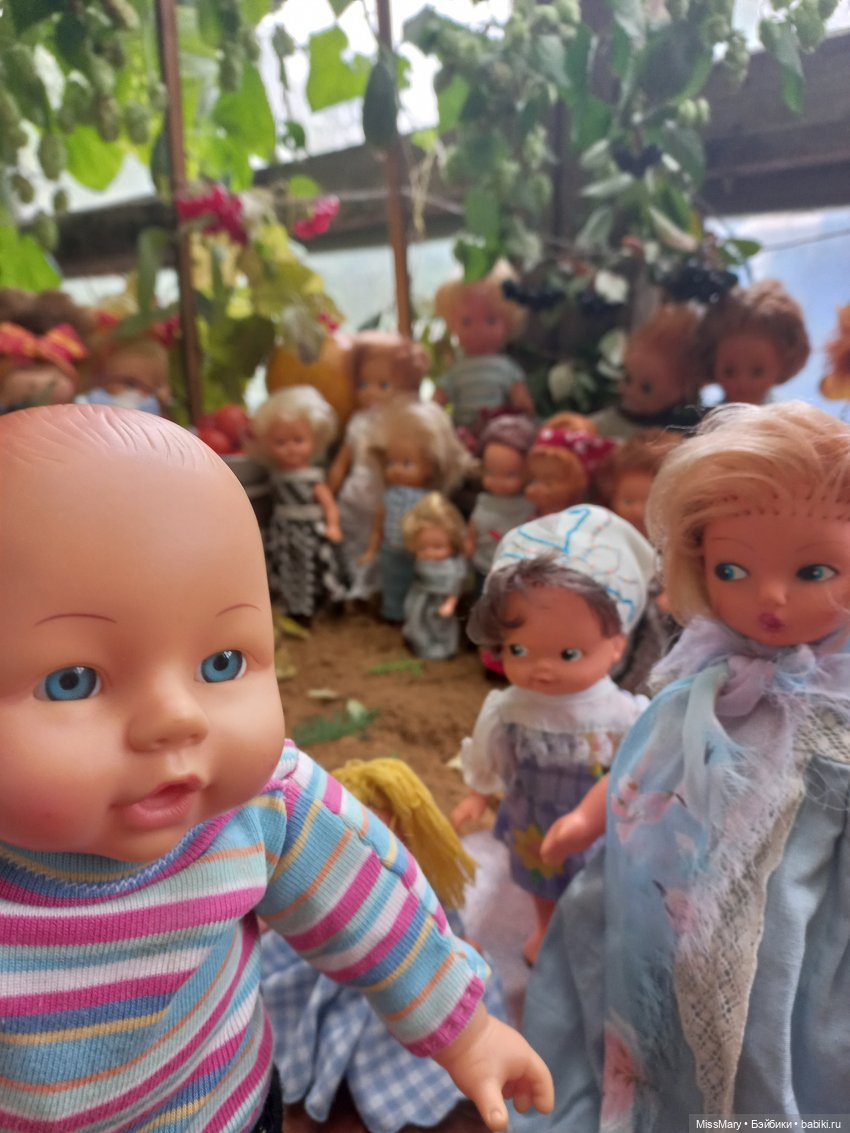 Ярмарка "Праздник урожая" в деревне Васильки (фото 7)