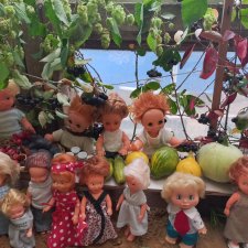 "Праздник урожая" в деревне Васильки. Фотоотчет