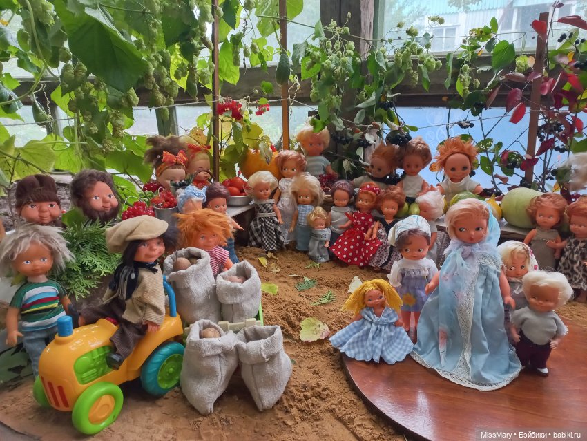 Итоги года — Домашние коллекции кукол: фото собраний (фото 5)