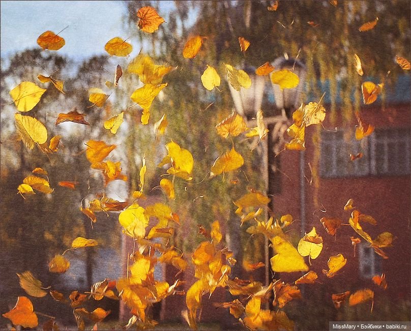 Пташкино гнездо. Глава 1. "Ленивое солнце октября" (фото 4)