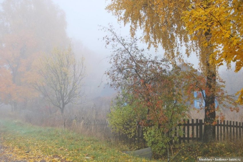 Пташкино гнездо. Глава 2. "Дорога домой"