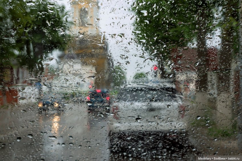 Пташкино гнездо. Глава 2. "Дорога домой"