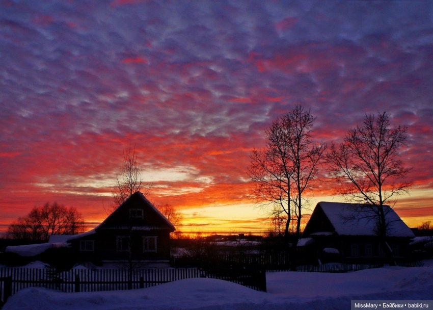 Пташкино гнездо. Глава 3. "Здесь наш дом"