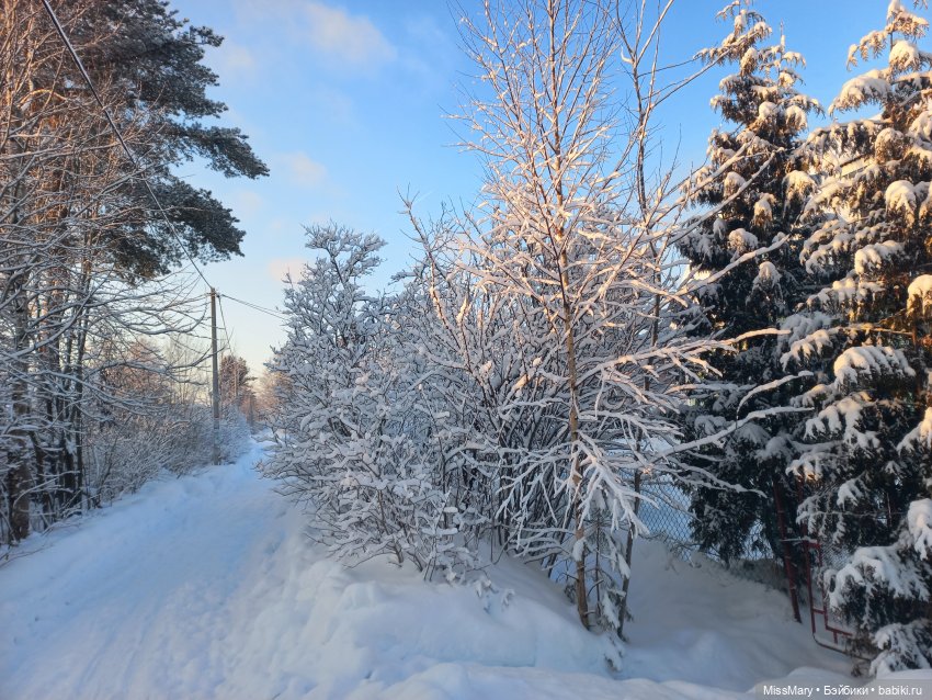 Пташкино гнездо. Глава 3. "Здесь наш дом"