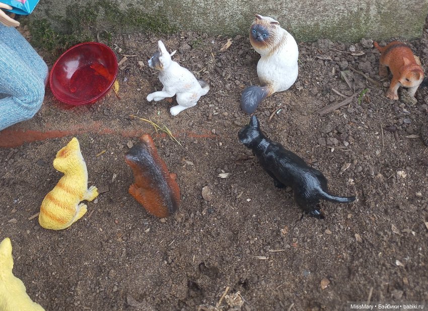 Пташкино гнездо. Глава 4. "Кошатница"