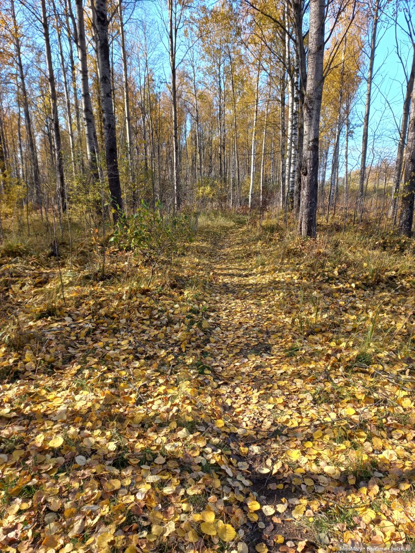 Пташкино гнездо. Глава 4. "Кошатница" (фото 4)