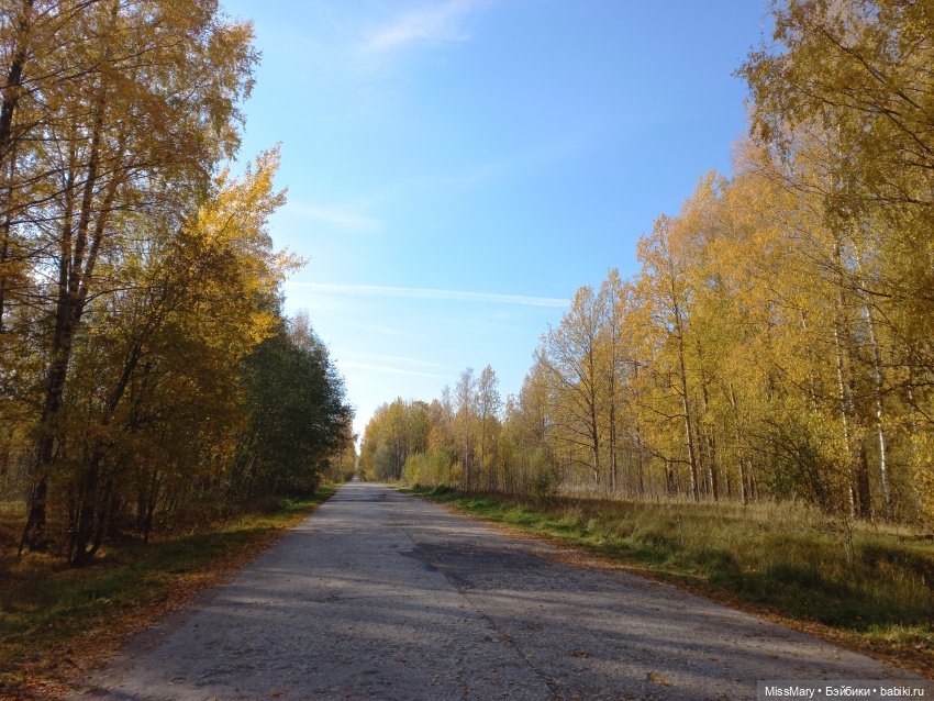 Пташкино гнездо. Глава 4. "Кошатница"