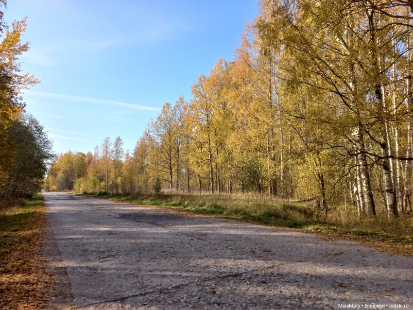 Пташкино гнездо. Глава 4. "Кошатница" (фото 2)