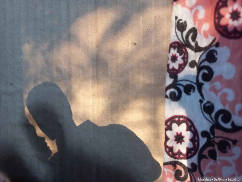 Пташкино гнездо. Глава 17. "Когда мечты становятся явью"