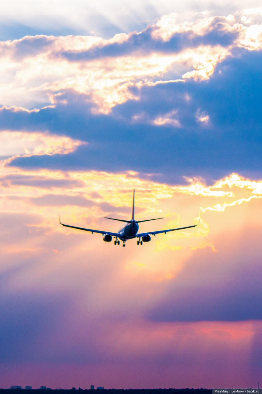 Пташкино гнездо. Глава 17. "Когда мечты становятся явью" (фото 10)