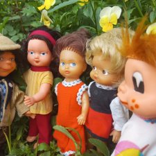 Хитроглазки