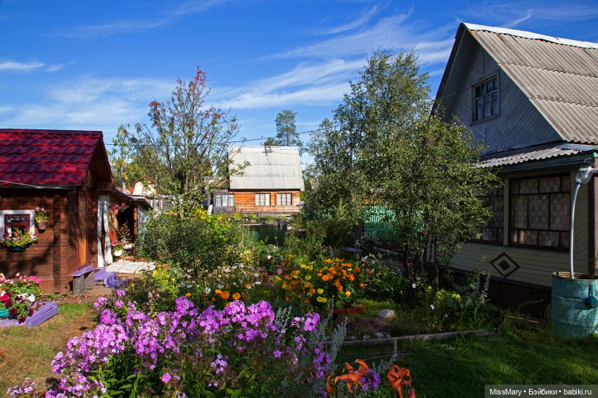 Пташкино гнездо. Глава 18. "Придет зима, а за зимой - весна, и ты вернешься"