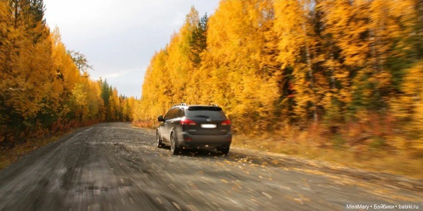 Пташкино гнездо. Глава 18. "Придет зима, а за зимой - весна, и ты вернешься"