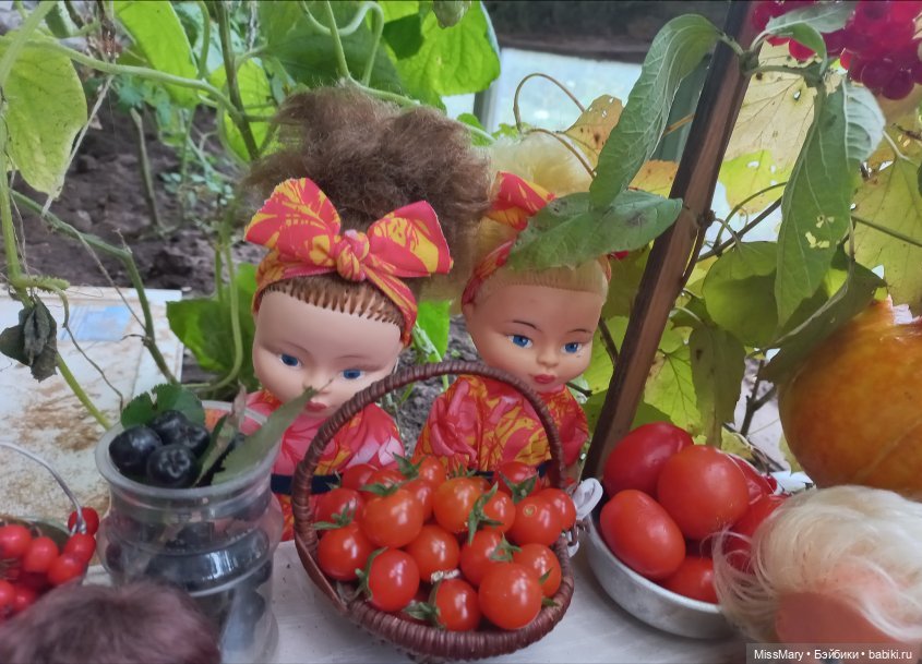 Анонс-приглашение на "Праздник урожая" (фото 8)