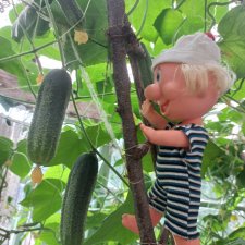 Весёлые картинки. "Огурцы-молодцы"