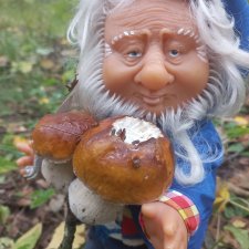 Весёлые картинки. Как Иваныч по грибы ходил