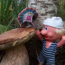 Весёлые картинки. "Дядя Увэ и супер-гриб". Часть 1