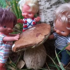 Весёлые картинки. "Дядя Увэ и супер-гриб". Часть 2