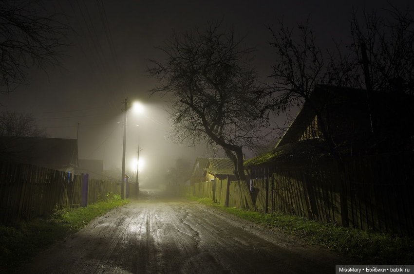 Пташкино гнездо. Глава 27. "Пришел ноябрь"