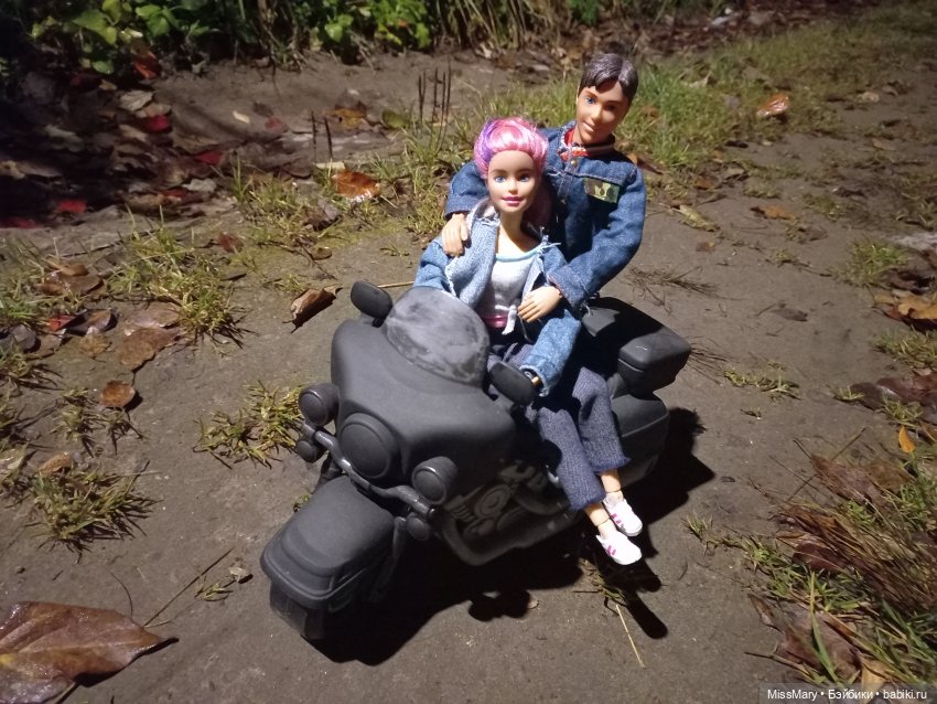 Пташкино гнездо. Глава 27. "Пришел ноябрь"