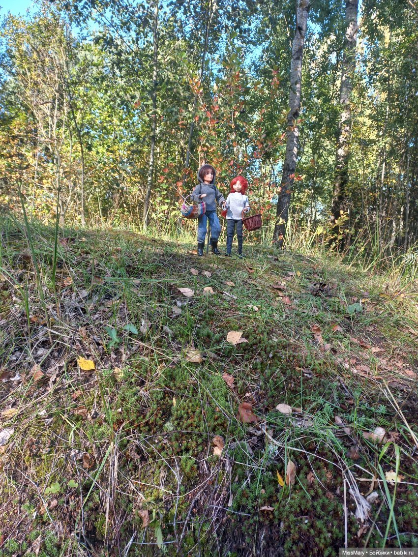 Маленький мир, который я люблю (мой юбилей, 2 года на Бэйбиках) (фото 5)