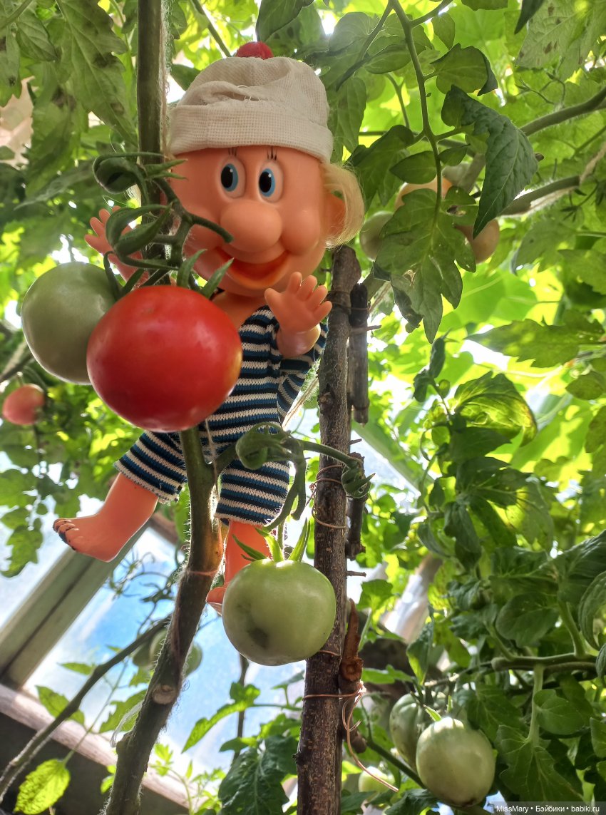 Маленький мир, который я люблю (мой юбилей, 2 года на Бэйбиках)