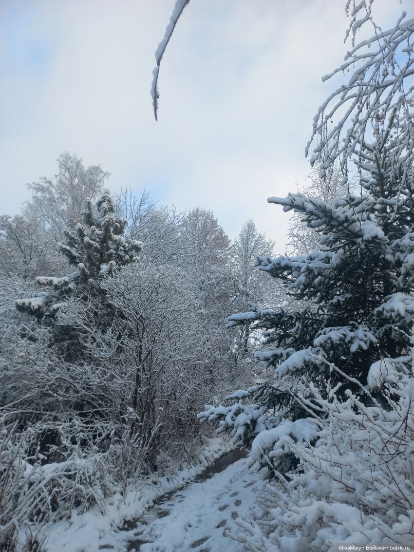 Снежана и первый снег — Куклы Barbie (Барби): Looks