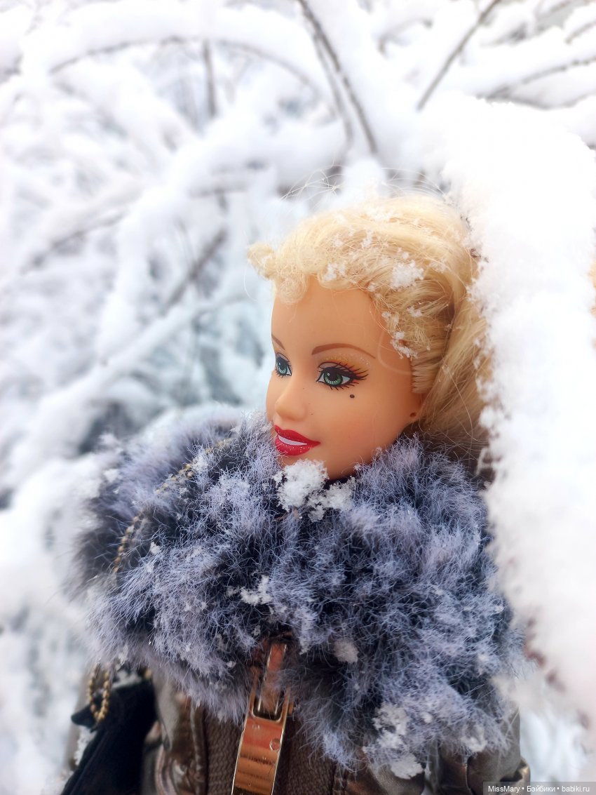 Снежана и первый снег — Куклы Barbie (Барби): Looks (фото 2)