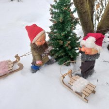 Весёлые картинки. "На саночках за ёлочкой"