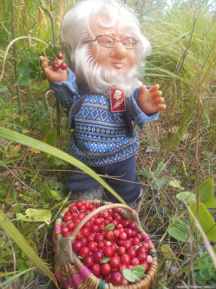 Веселые картинки. Как Иваныч по ягоды ходил