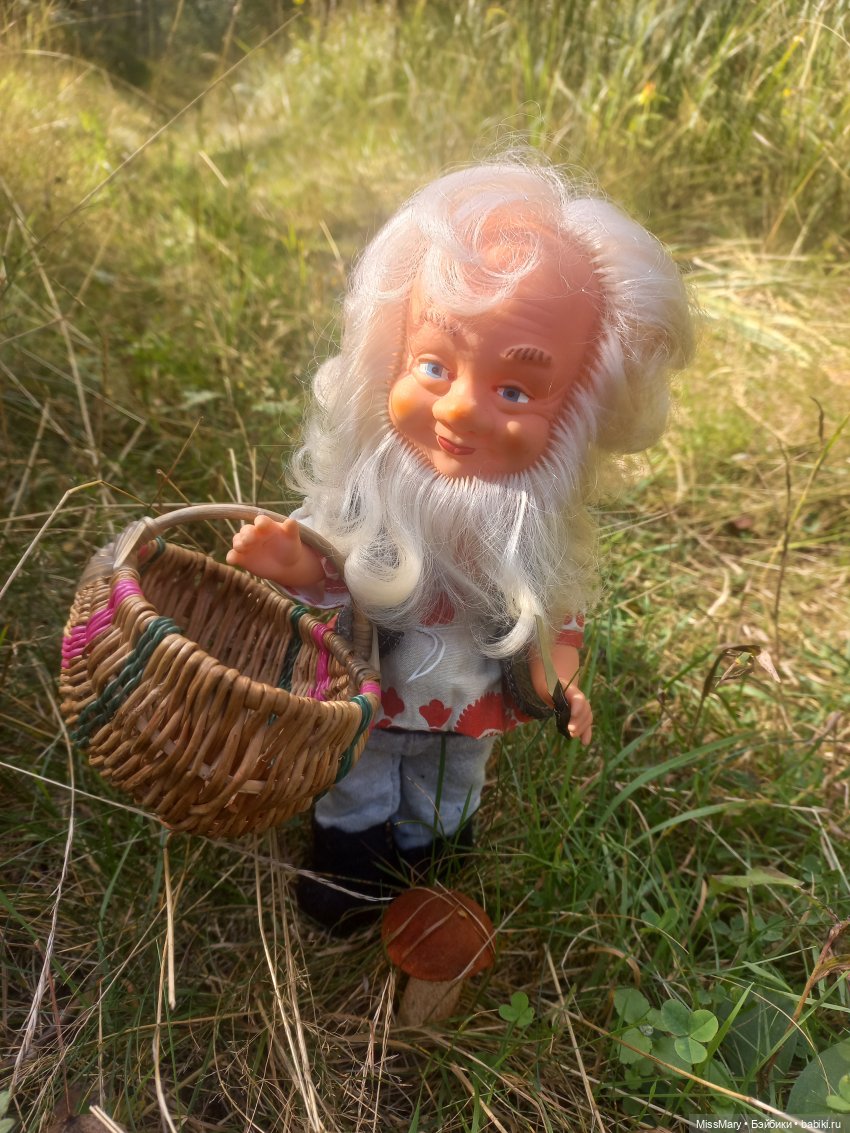 Весёлые картинки. Как Петрович по грибы ходил