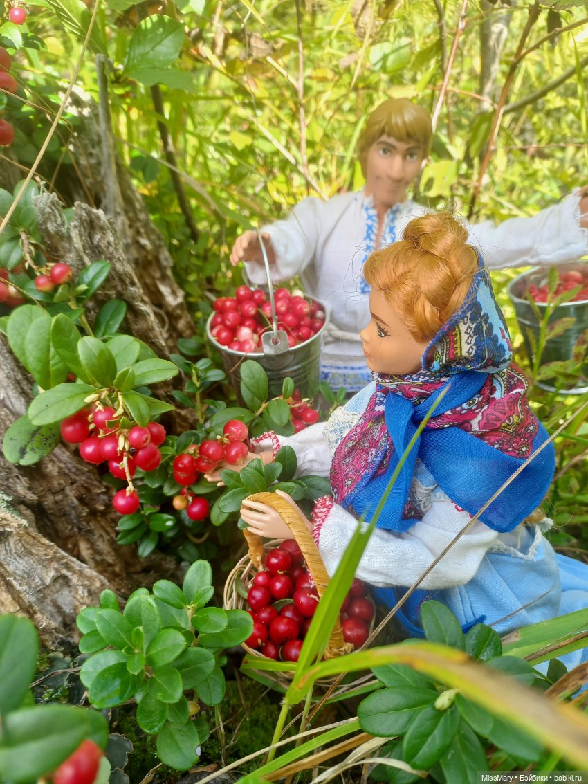 Ягодка лесная — Куклы Disney Animators и Принцессы Диснея: Disney Store