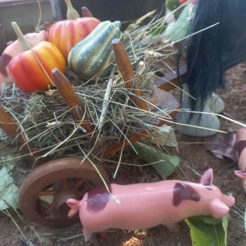 Ярмарка "Праздник урожая" 2023