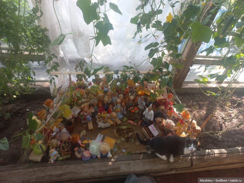 Праздник урожая 2023. Фотоотчет | Бэйбики Праздник урожая 2023. Фотоотчет (фото 2)