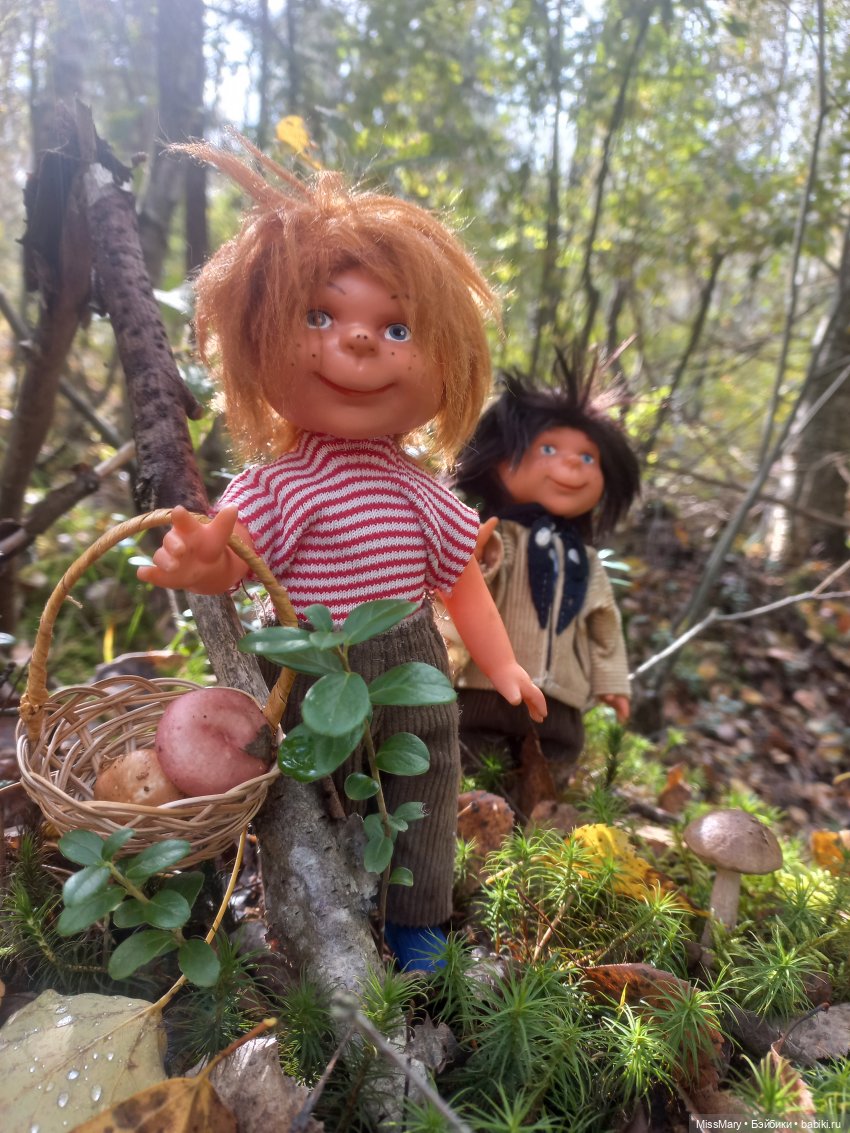 Как братья Колючкины по грибы ходили