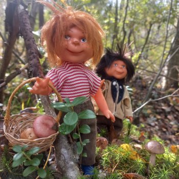 Как братья Колючкины по грибы ходили