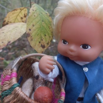 Веселые картинки. День грибника