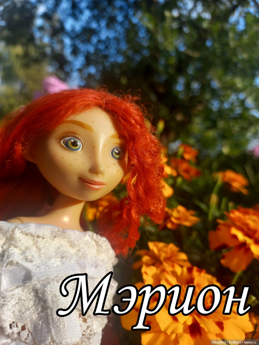 Мои рыжики, мои солнышки — Коллекции игровых кукол (Playline): фото полок