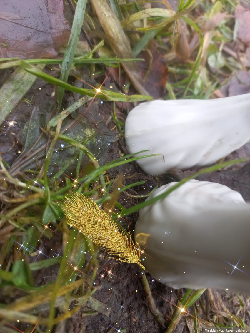 Жар-птица и Морская дева. 2 серия