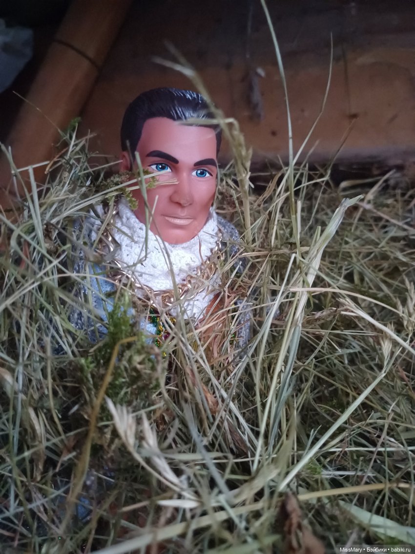 Жар-птица и Морская дева. 3 серия (фото 6)